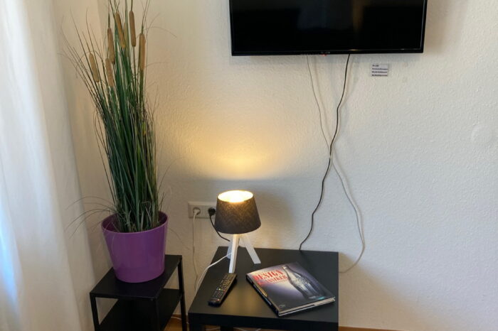 Kaiserhof Ferienwohnungen Westerwald - Appartement KÖLN - Fernseher