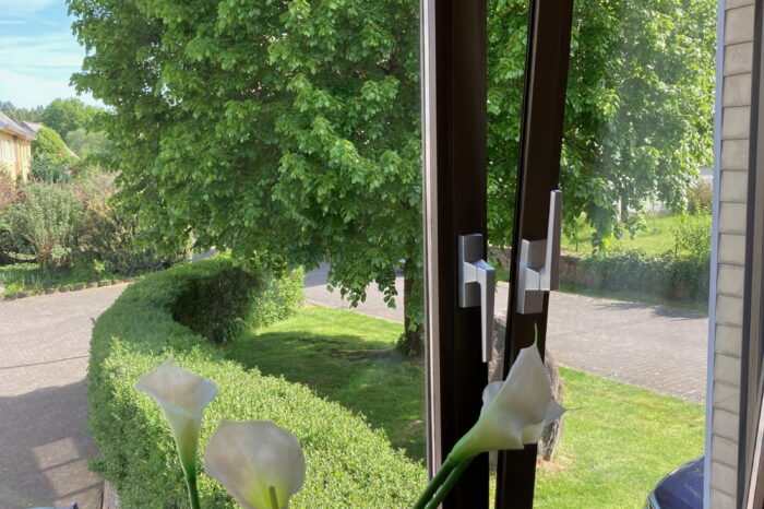 Kaiserhof Ferienwohnungen Westerwald - Appartement KÖLN - Blick auf den Baulm aus dem Fenster