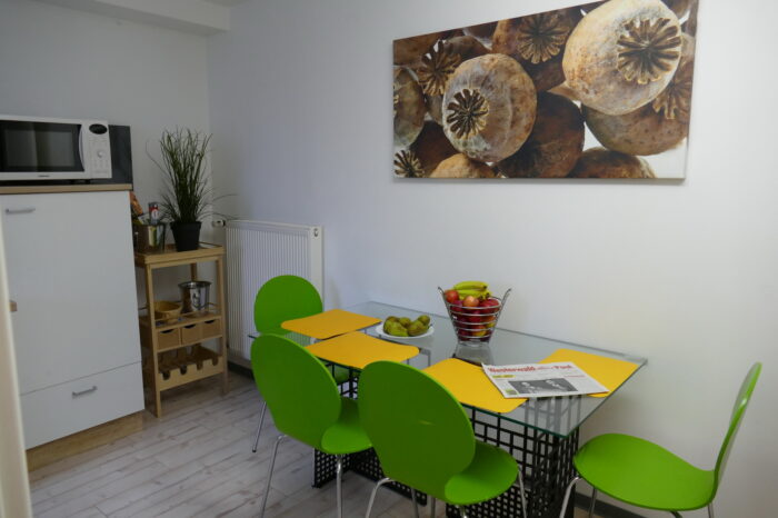 Kaiserhof Ferienwohnungen Westerwald - Appartement PARIS - Küche